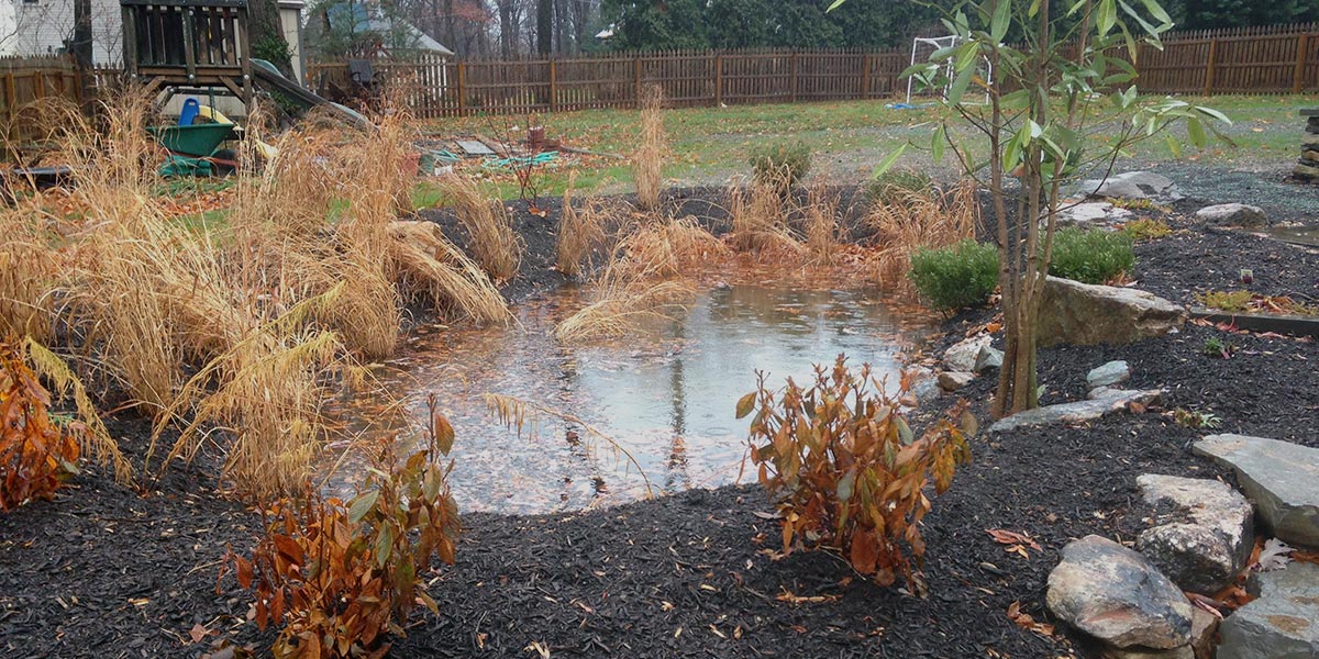 Rainwater management pond in Philidelphia