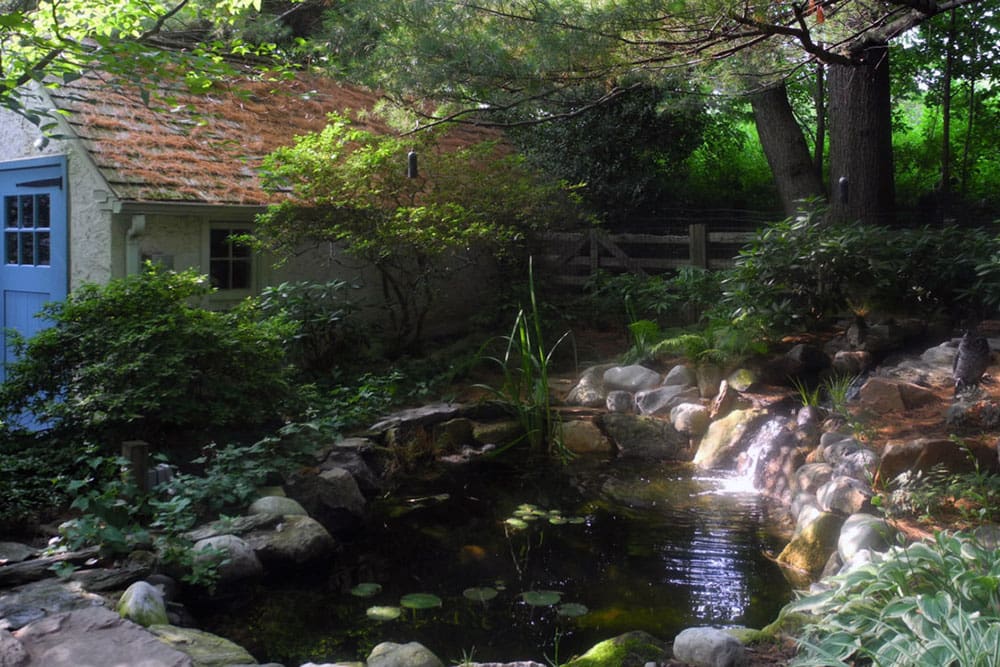 Tips to Keep Your Koi Fish Healthy Pond Tips by Laura Reale