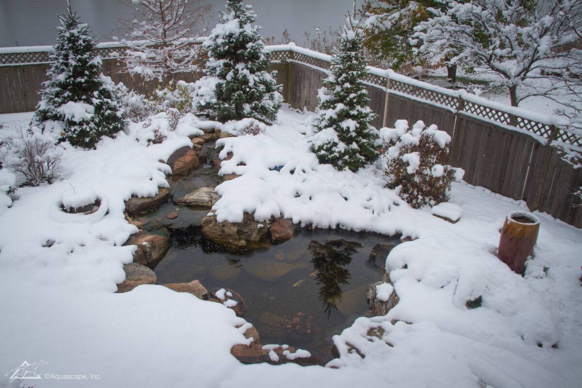Winter pond care